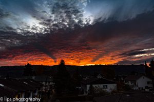 D75_7485 D75_7485