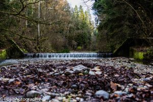 D75_7527 D75_7527